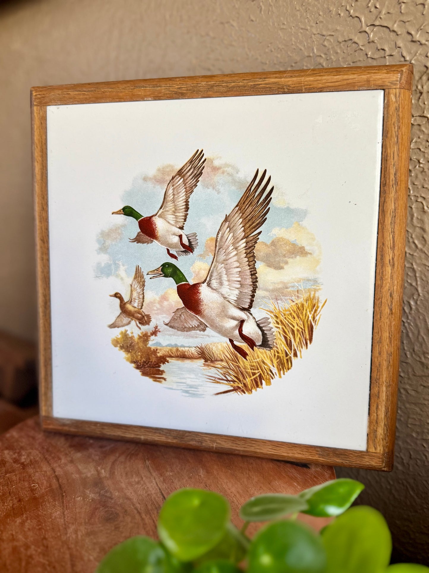 Mallard Duck Tile Trivet