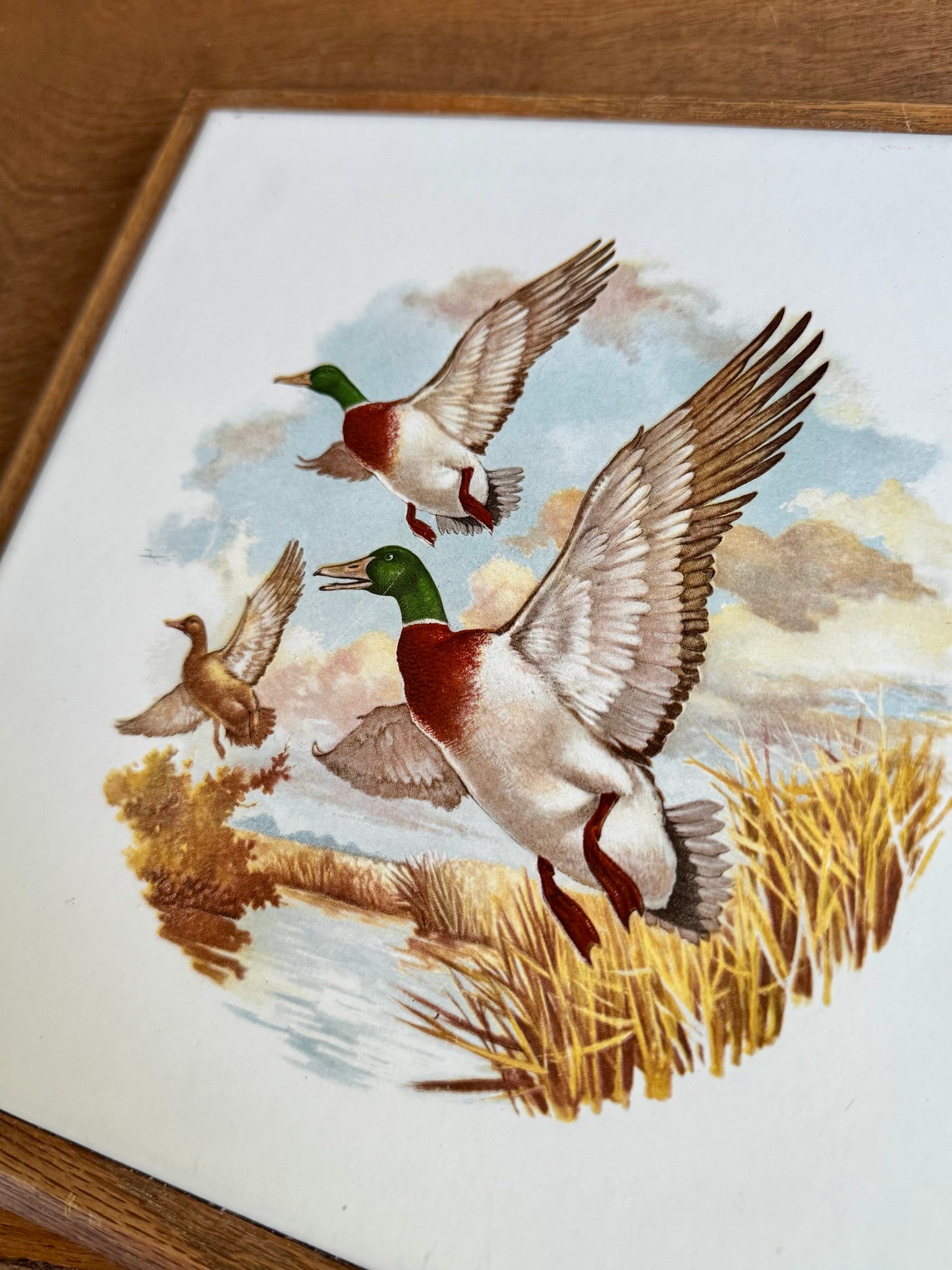Mallard Duck Tile Trivet