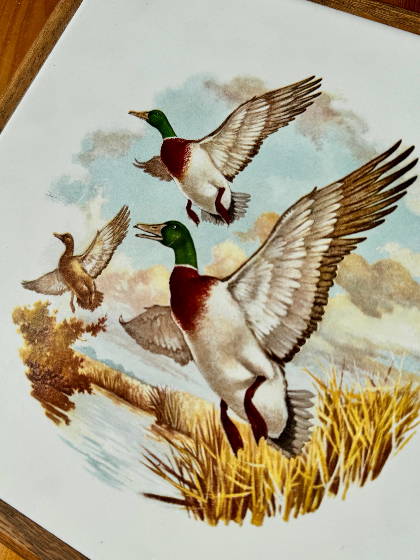 Mallard Duck Tile Trivet