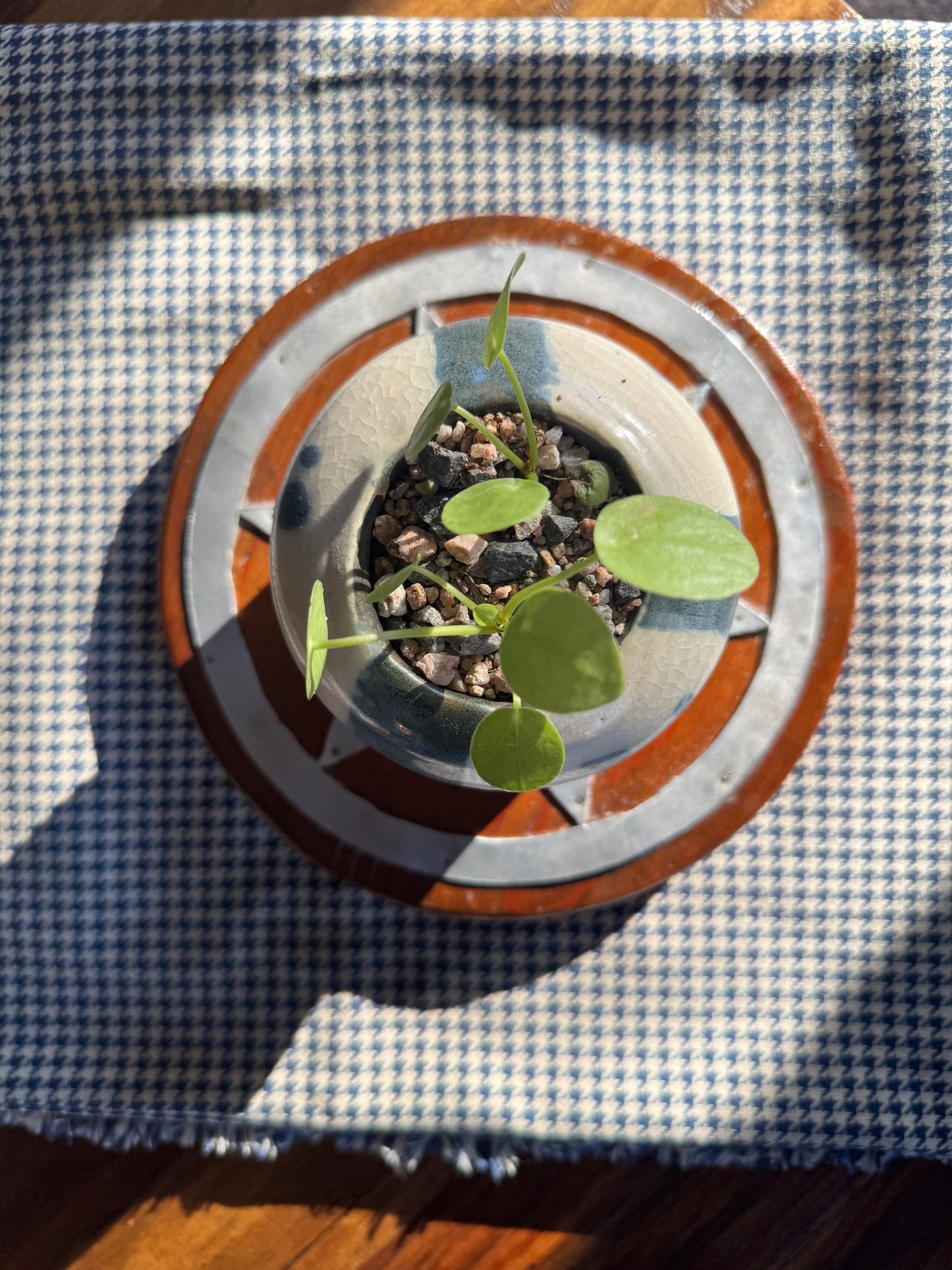 Wood & Metal Flower Trivet